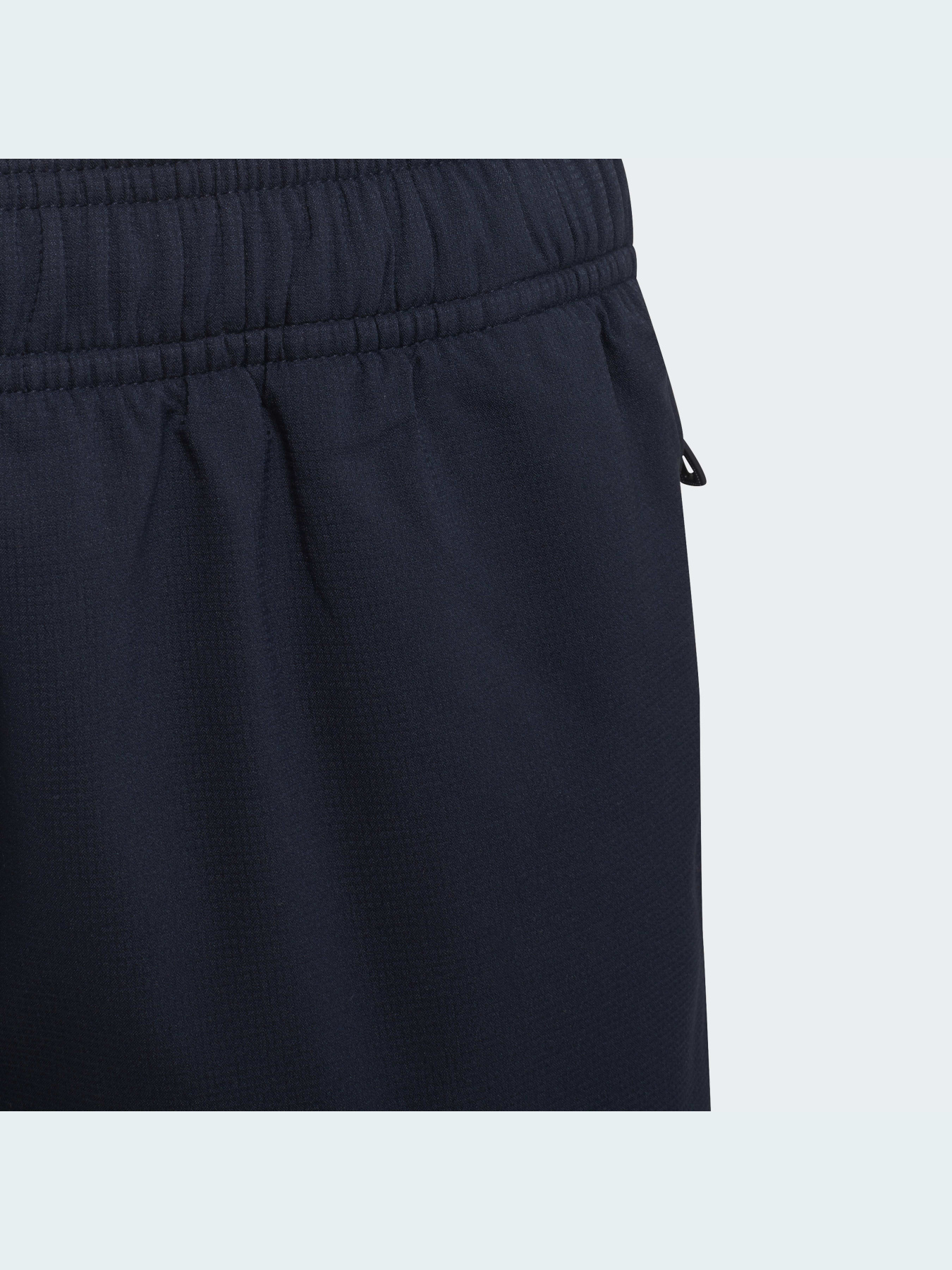 Джоггеры Adidas модель GS0222 Фото