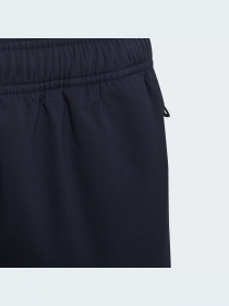 Джоггеры Adidas модель GS0222 Фото