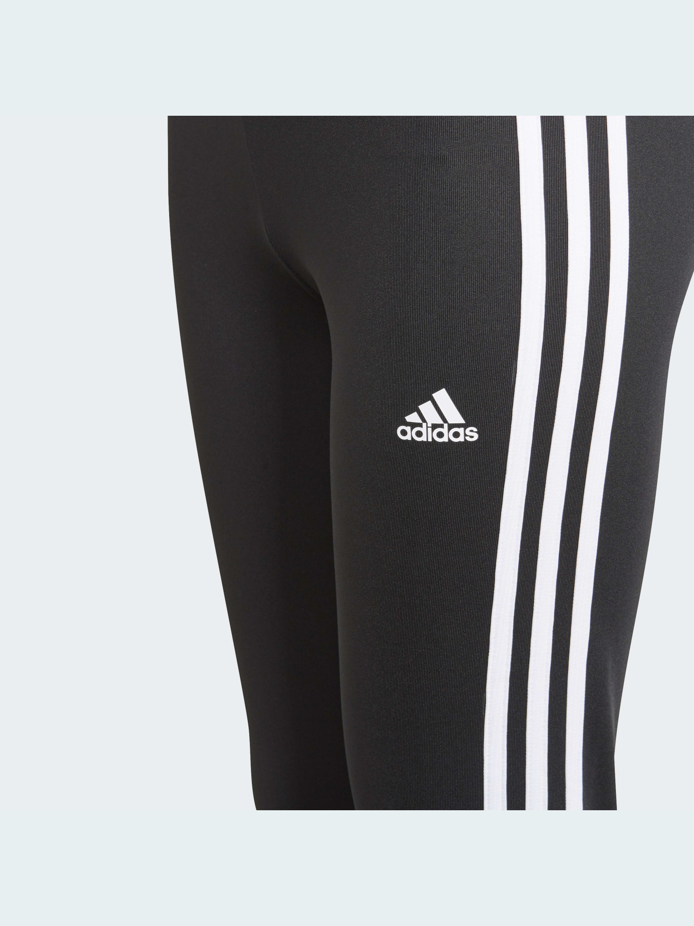 Леггинсы Adidas модель GN1453 Фото