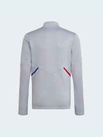 Спортивная кофта Adidas модель HC1015 Фото