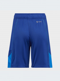 Шорты спортивные Adidas модель HC1295 Фото