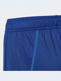 Шорты спортивные Adidas модель HC1295 Фото