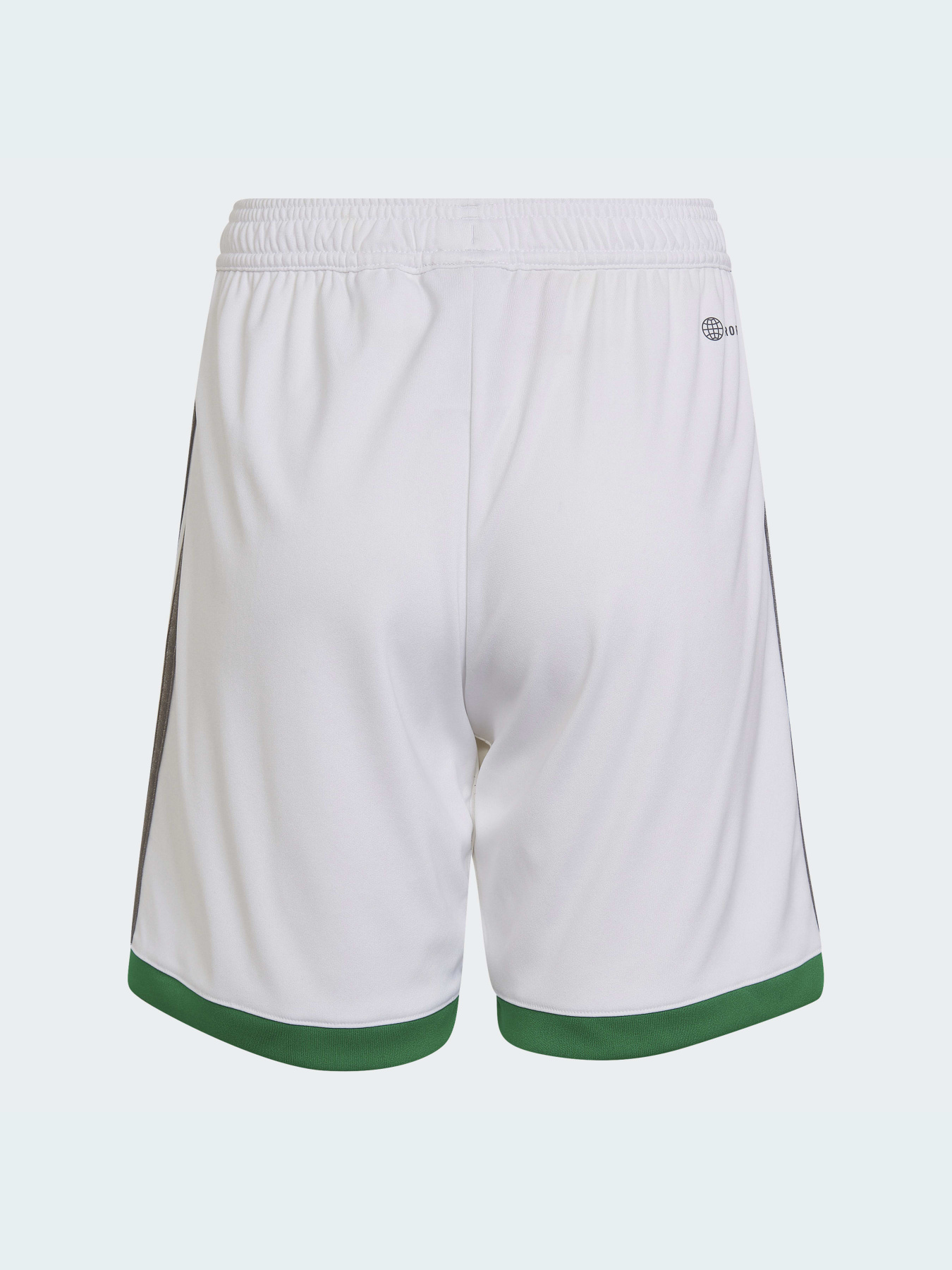 Шорты спортивные Adidas модель HA5448 Фото