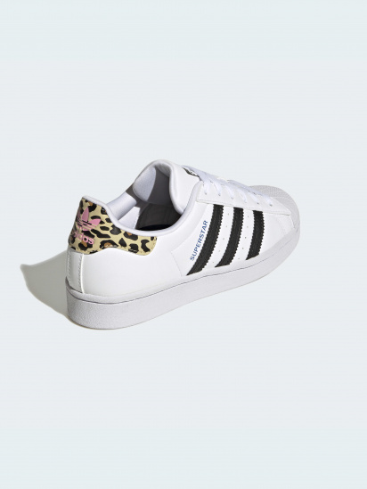 Кеди низькі adidas Superstar модель GW4062 — фото - INTERTOP