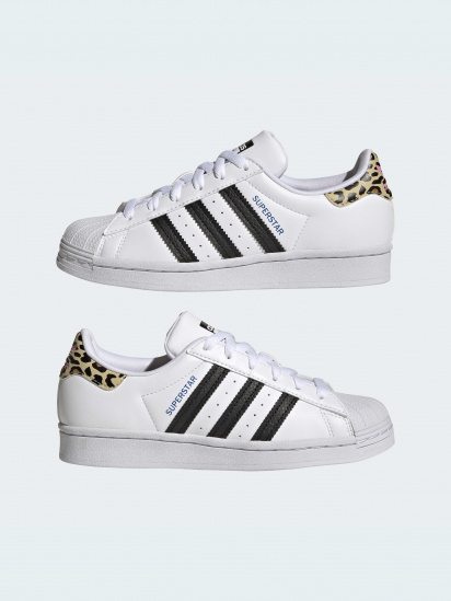 Кеди низькі adidas Superstar модель GW4062 — фото 4 - INTERTOP