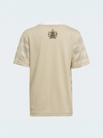 Спортивный костюм Adidas модель HG1396 Фото