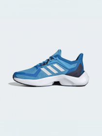 Кросівки для бігу Adidas Alphatorsion модель GY0596 Фото