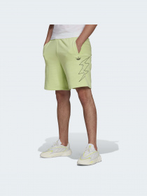 Повседневные шорты Adidas модель HE7046 Фото