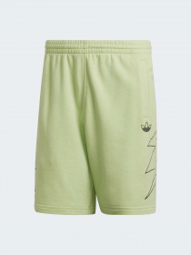 Повседневные шорты Adidas модель HE7046 Фото