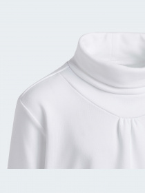 Кофта спортивная Adidas модель HM7369 Фото