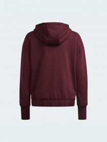 Кофта спортивна Adidas модель GV2027 Фото