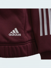 Кофта спортивна Adidas модель GV2027 Фото