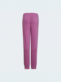 Джогери Adidas модель HM8651 Фото