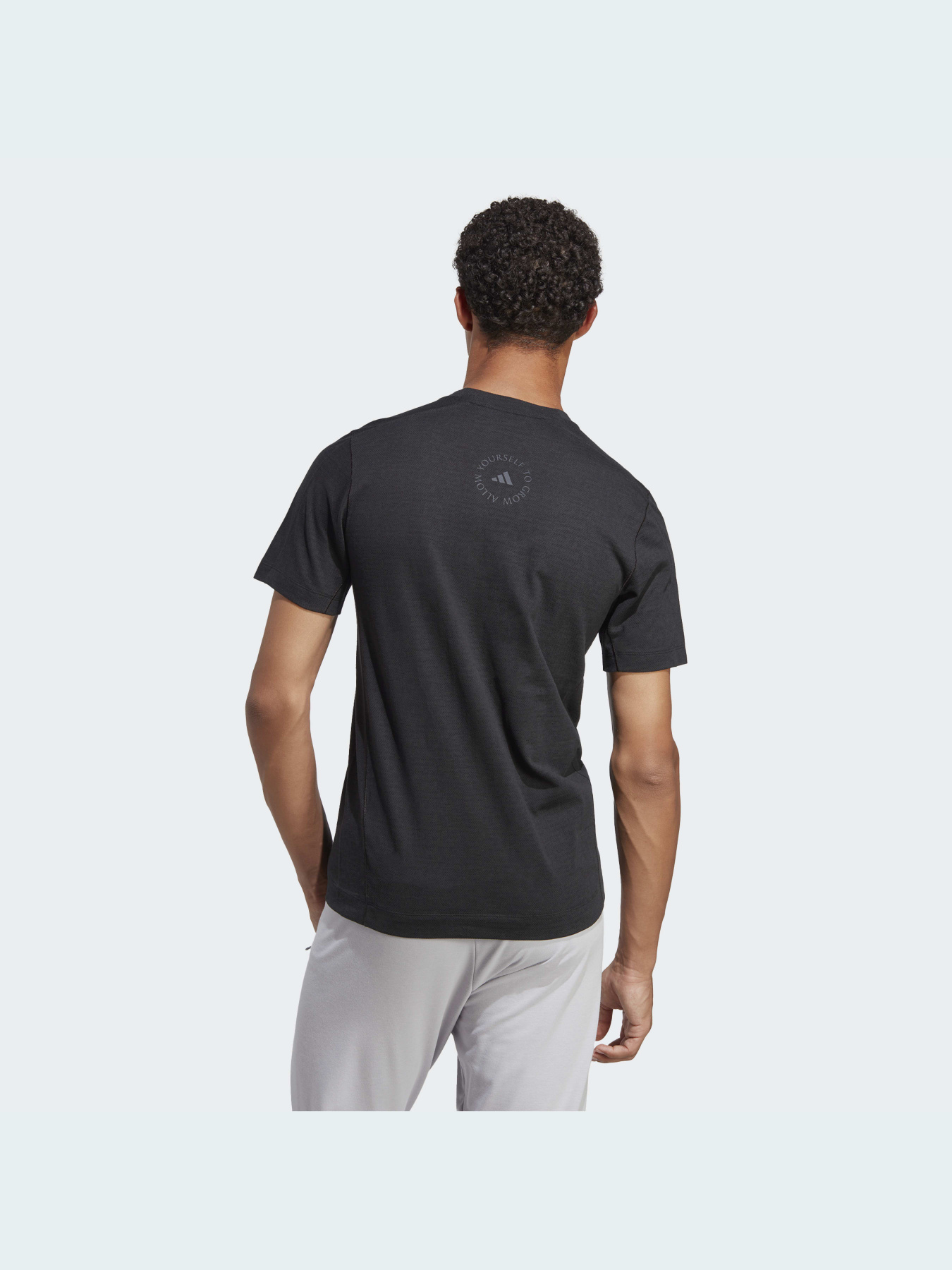 Футболка спортивная Adidas модель IB8956 Фото