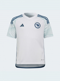 Спортивная футболка Adidas модель HD3870 Фото