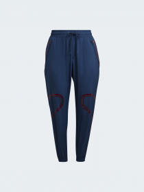 Штаны спортивные Adidas модель HK0483 Фото