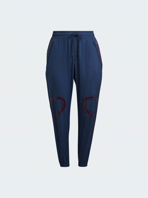 Штаны спортивные Adidas модель HK0483 Фото