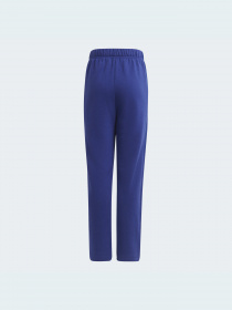 Штаны спортивные Adidas модель H10161 Штаны спортивные Adidas модель H10161 Фото