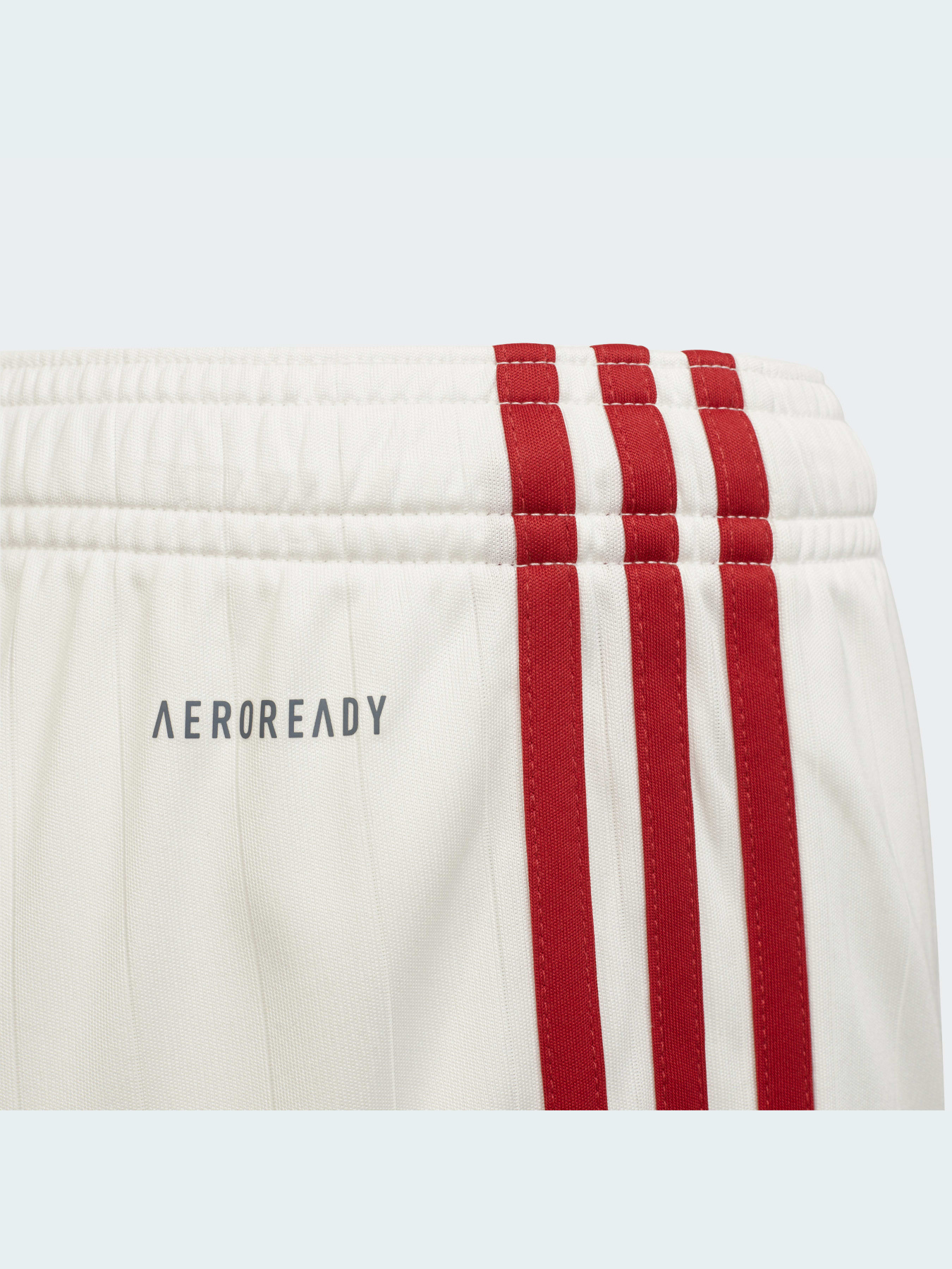 Спортивні шорти Adidas модель GR3771 Фото