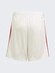 Спортивні шорти Adidas модель GR3771 Фото