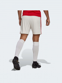 Шорты спортивные Adidas модель H31448 Фото