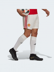 Шорты спортивные Adidas модель H31448 Фото