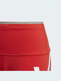 Леггинсы спортивные Adidas модель GL7380 Фото