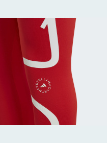 Спортивные леггинсы Adidas модель GL7380 Фото