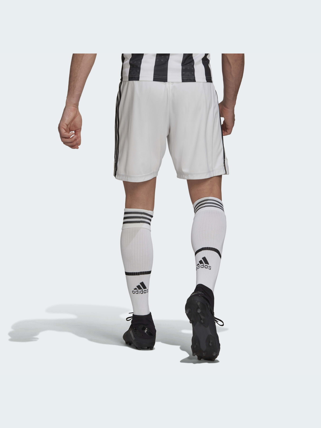 Спортивні шорти Adidas модель GM7186 Фото