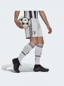 Спортивні шорти Adidas модель GM7186 Фото