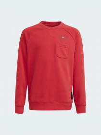 Свитшот Adidas модель GR3885 Фото