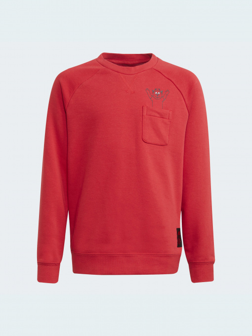 Свитшот Adidas модель GR3885 Фото