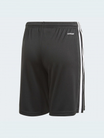 Шорты спортивные Adidas модель GN5767 Шорты спортивные Adidas модель GN5767 Фото