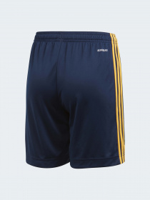 Шорты спортивные Adidas модель FI6243 Фото