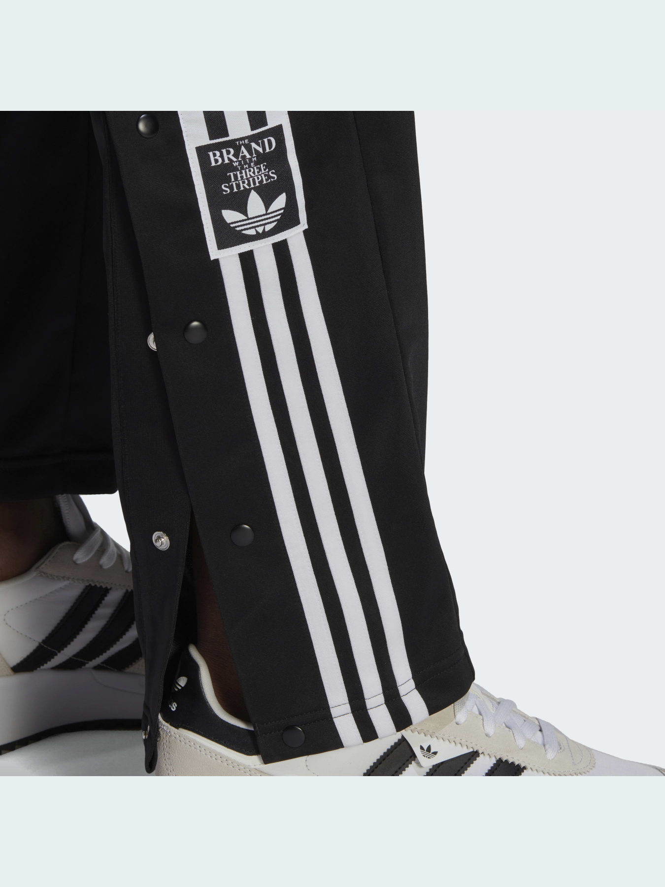 Штани спортивні Adidas Adicolor модель HN6098 Фото