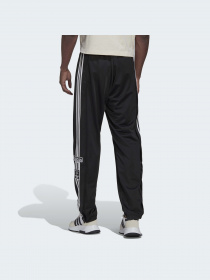 Штани спортивні Adidas Adicolor модель HN6098 Фото