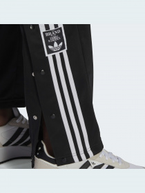 Штани спортивні Adidas Adicolor модель HN6098 Фото