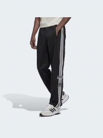 Спортивні штани Adidas Adicolor модель HN6098 Фото