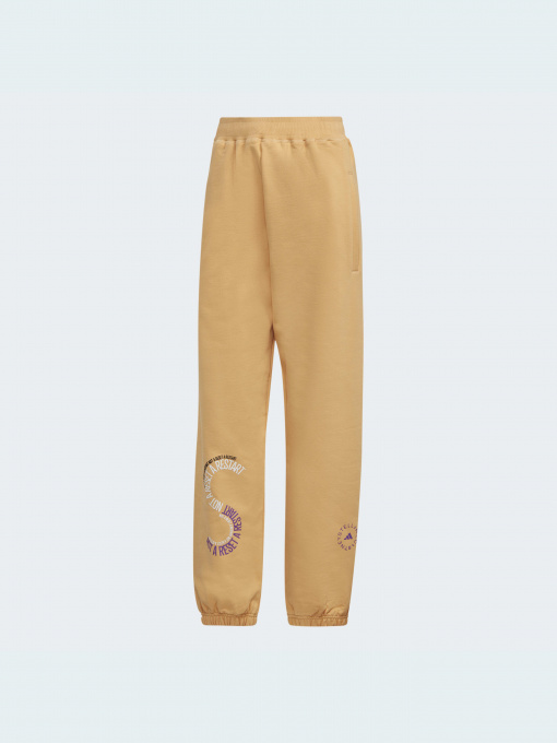 Штаны спортивные Adidas модель IB5906 Фото