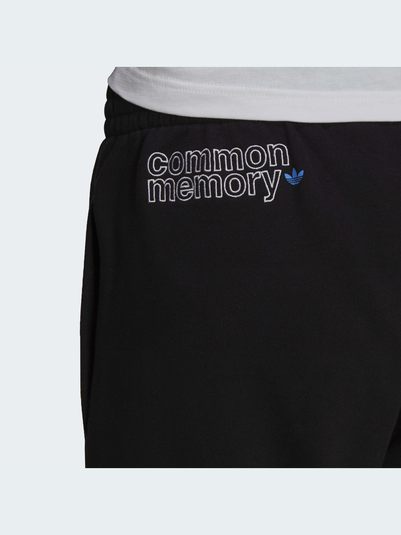 Штани повсякденні Adidas Graphics модель H13505 Фото