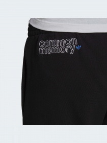 Повседневные штаны Adidas Graphics модель H13505 Повседневные штаны Adidas Graphics модель H13505 Фото