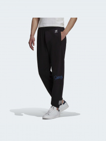 Повседневные штаны Adidas Graphics модель H13505 Повседневные штаны Adidas Graphics модель H13505 Фото