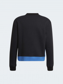 Спортивный костюм Adidas модель HD4413 Фото