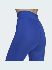 Спортивные леггинсы Adidas модель HB6071 Фото