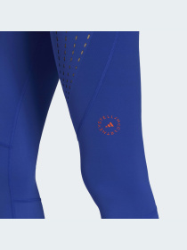 Спортивные леггинсы Adidas модель HB6071 Фото