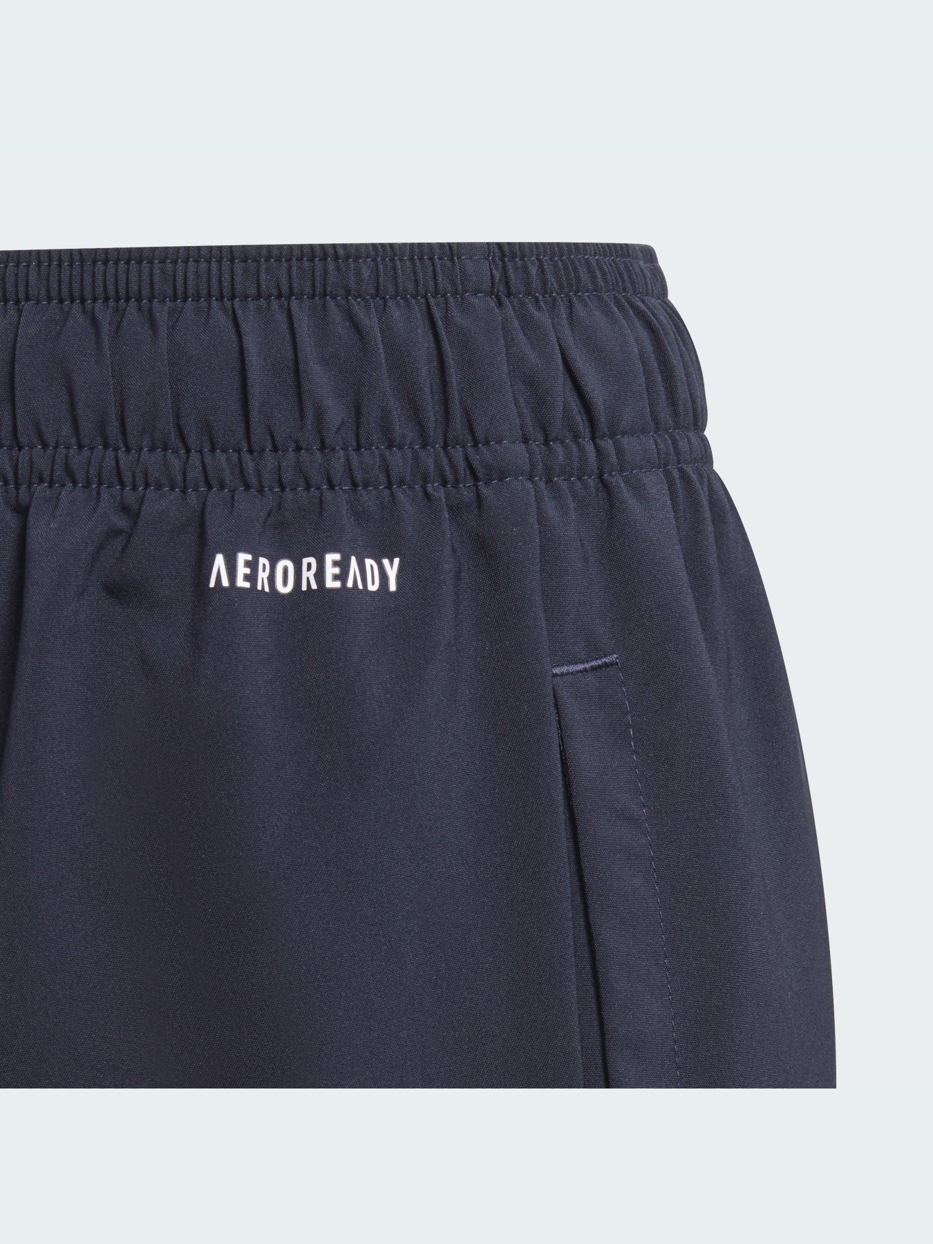 Брюки повседневные Adidas модель GN4096 Фото