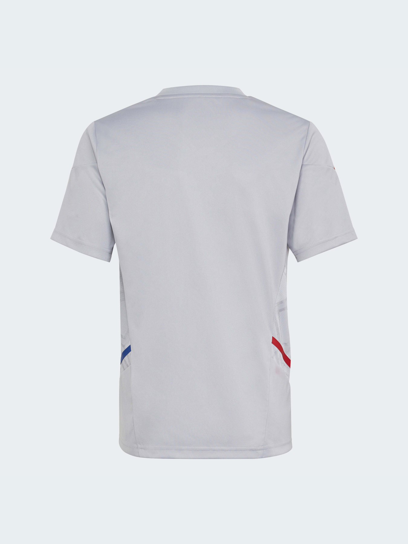 Спортивна футболка Adidas модель HC1016 Фото