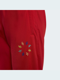 Штаны спортивные Adidas Adicolor модель HB9467 Фото