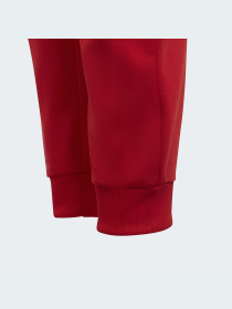 Штаны спортивные Adidas Adicolor модель HB9467 Фото