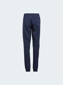 Штаны спортивные Adidas модель GQ2473 Фото